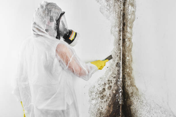 Best Mold Cleaning Services  in Tappahannock, VA