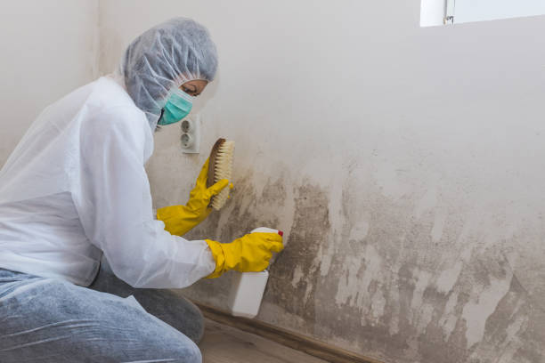 Best Residential Mold Removal  in Tappahannock, VA
