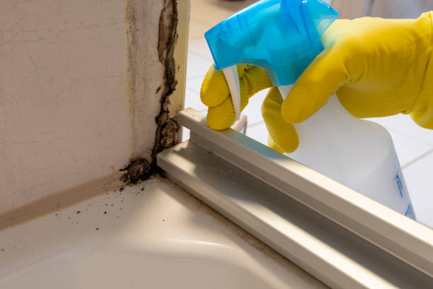 Best Crawl Space Mold Removal  in Tappahannock, VA