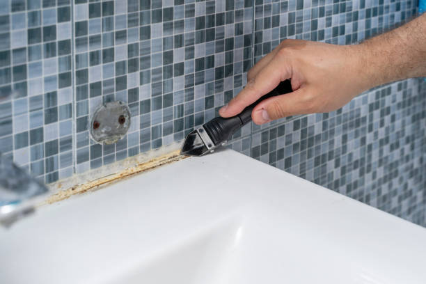 Best Fast Mold Removal  in Tappahannock, VA
