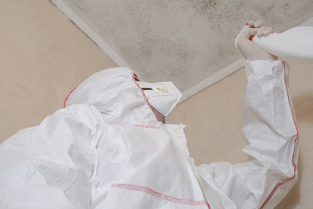 Best Office Mold Removal Services  in Tappahannock, VA