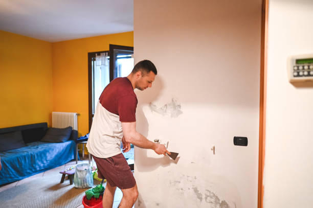 Best Local Mold Removal Service  in Tappahannock, VA