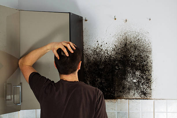 Best Mold Remediation  in Tappahannock, VA