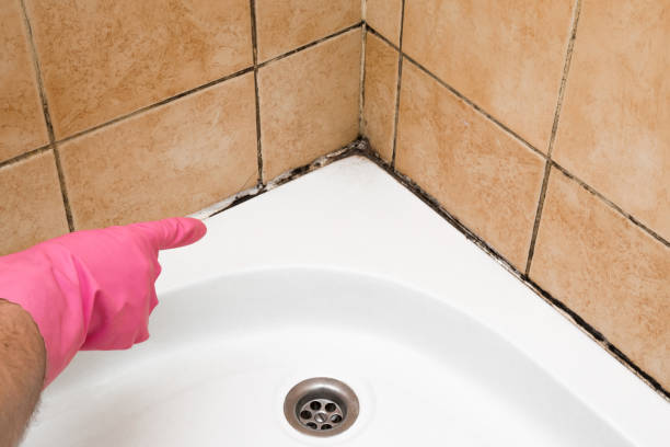 Best Mold Cleaning Services  in Tappahannock, VA